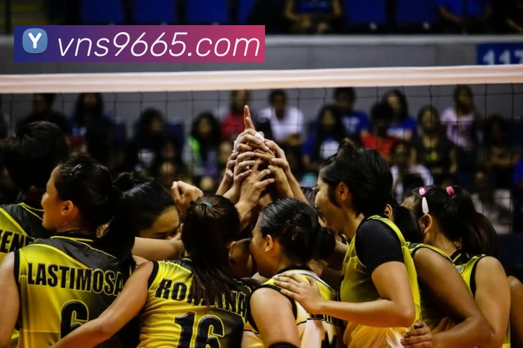 澳门威尼斯人网页发展历程